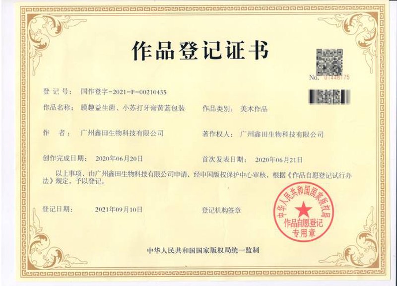 艺术版权登记:为何艺术家必须了解这项重要操作